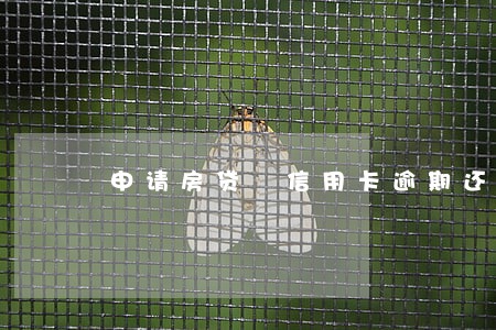 申请房贷 信用卡逾期还款 申请房贷 信用卡逾期还款